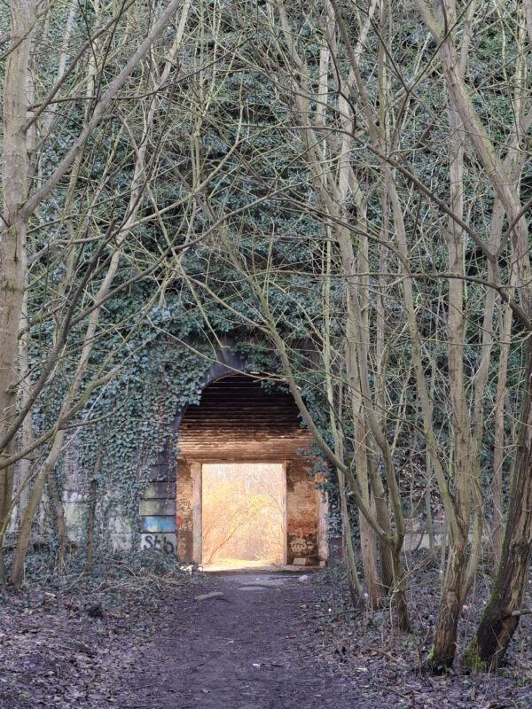 Dutch fort - Image 4